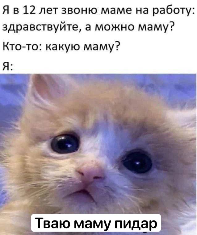 Я в 12 лет звоню маме на работу здравствуйте, а можно маму? Кто-то: какую маму? Тваю маму пидар.