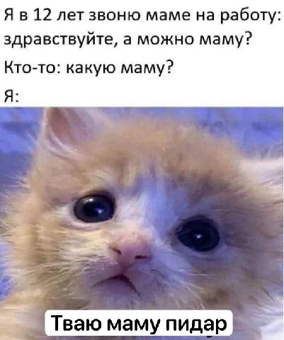 Я в 12 лет звоню маме на работу здравствуйте, а можно маму? Кто-то: какую маму? Тваю маму пидар.