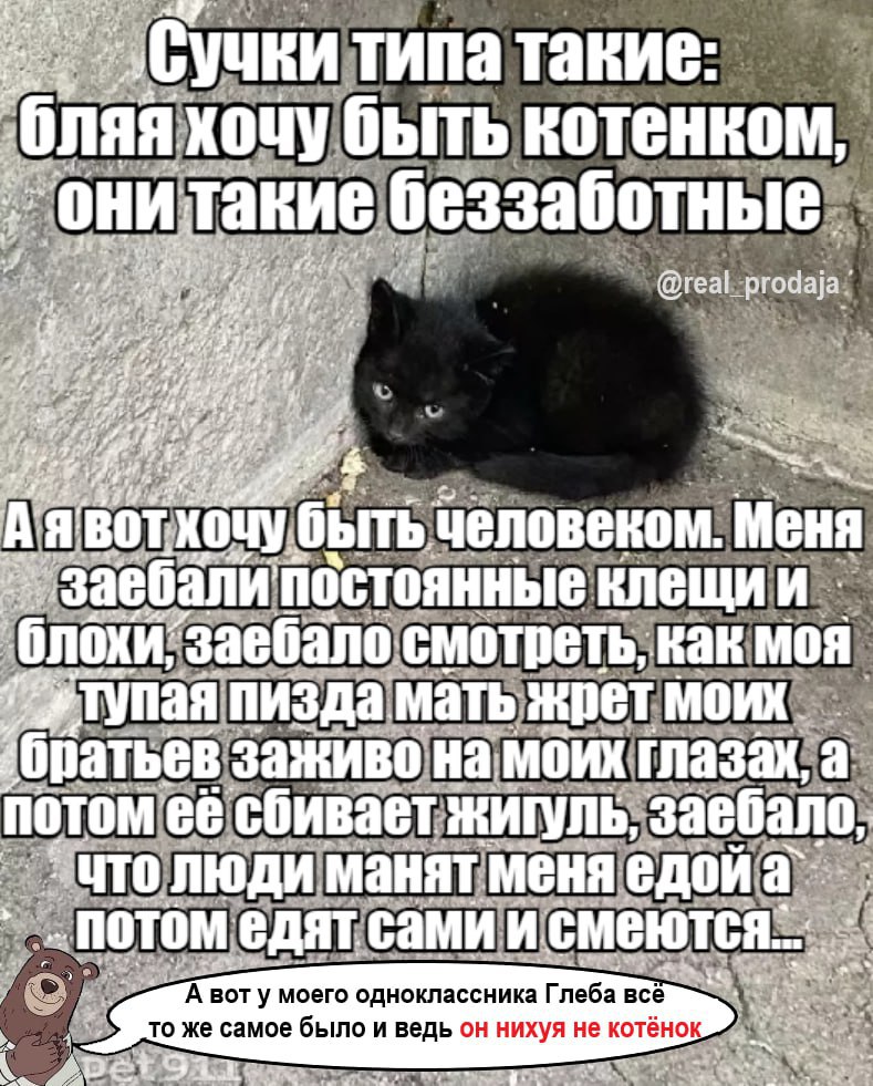 типа такие: MOuy котенком, беззаб BOT бы человеком. Меня стоянные смотреть, как моя. паяпизда заживона а едятсамии A BOT у моего одноклассника Глеба всё fou то же самое было и ведь он нихуя не котёнок