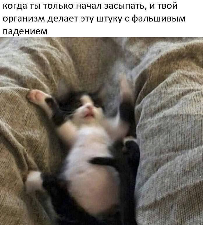 когда ты только начал засыпать, и твой организм делает эту штуку с фальшивым падением