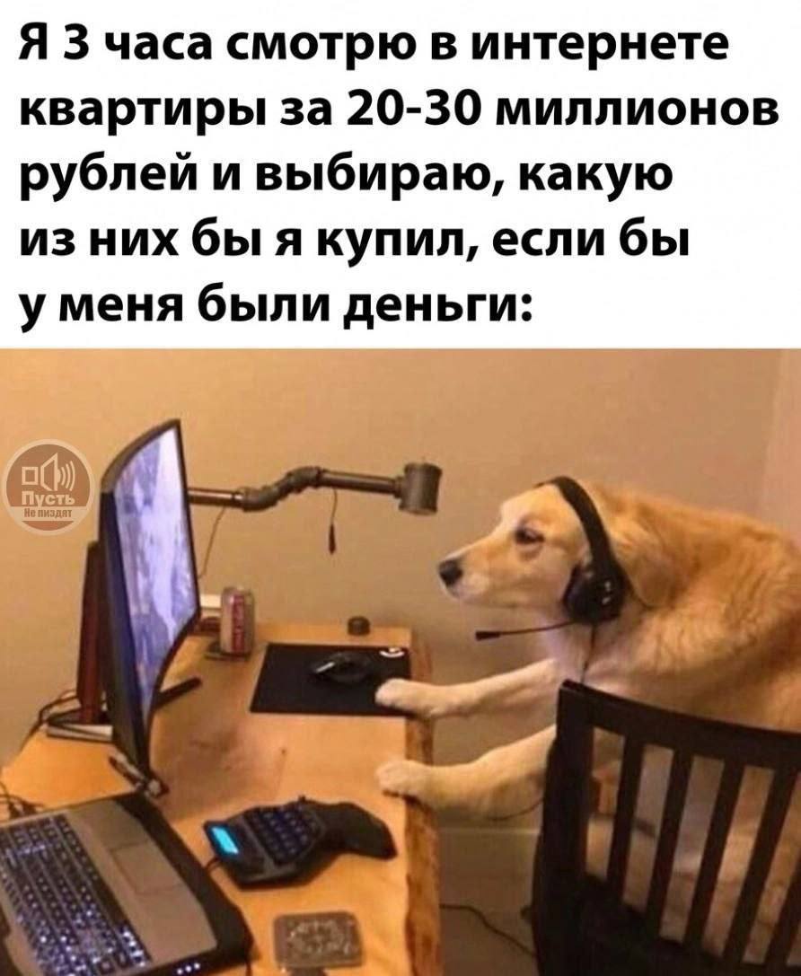 Я 3 часа смотрю в интернете квартиры за 20-30 миллионов рублей и выбираю, какую из них бы я купил, если бы у меня были деньги: У.