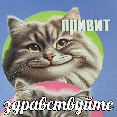 ВИТ