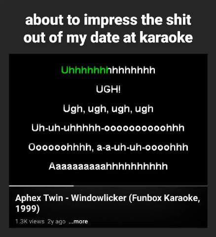 about to impress the shit out of my date at karaoke UGH! цоп, ugn, ugn, ugn Uooooonnnn, a-a-un-un-oooonnn Aaaaaaaaaannnnnnnnnn Aphex Twin Windowlicker (Funbox Karaoke, 1999) More