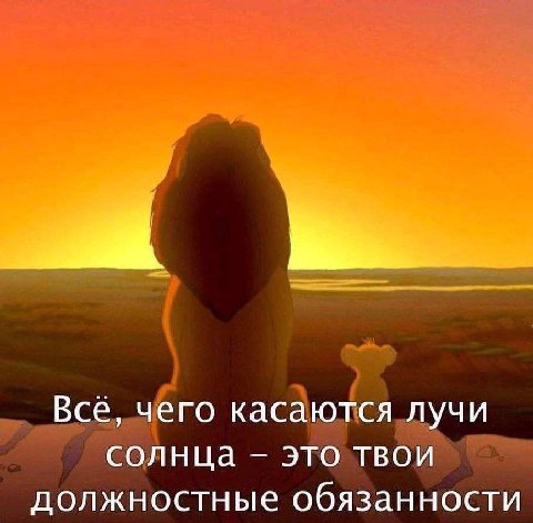 Всё, чего касаются лучи солнца это твои должностные обязанности