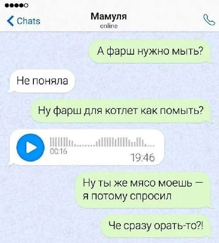Мамуля Chats online A фарш нужно мыть? Не поняла Ну фарш для котлет как помыть? 19:46 Ну ты же мясо моешь я потому спросил Че сразу opaTb-To?!