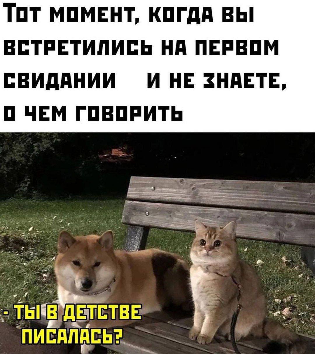 Тот МОМЕНТ, КОГДА ВЫ ВСТРЕТИЛИСЬ НА ПЕРВОМ СВИДАНИИ WHE ЗНАЕТЕ О ЧЕМ ГОВОРИТЬ 4