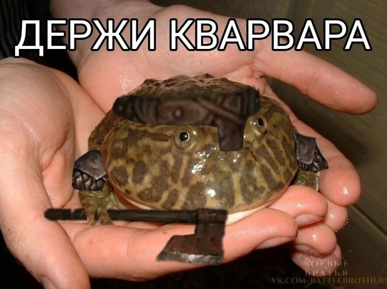 ДЕРЖИ КВАРВАРА