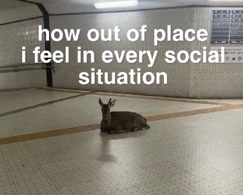 of place i feel in every social situation