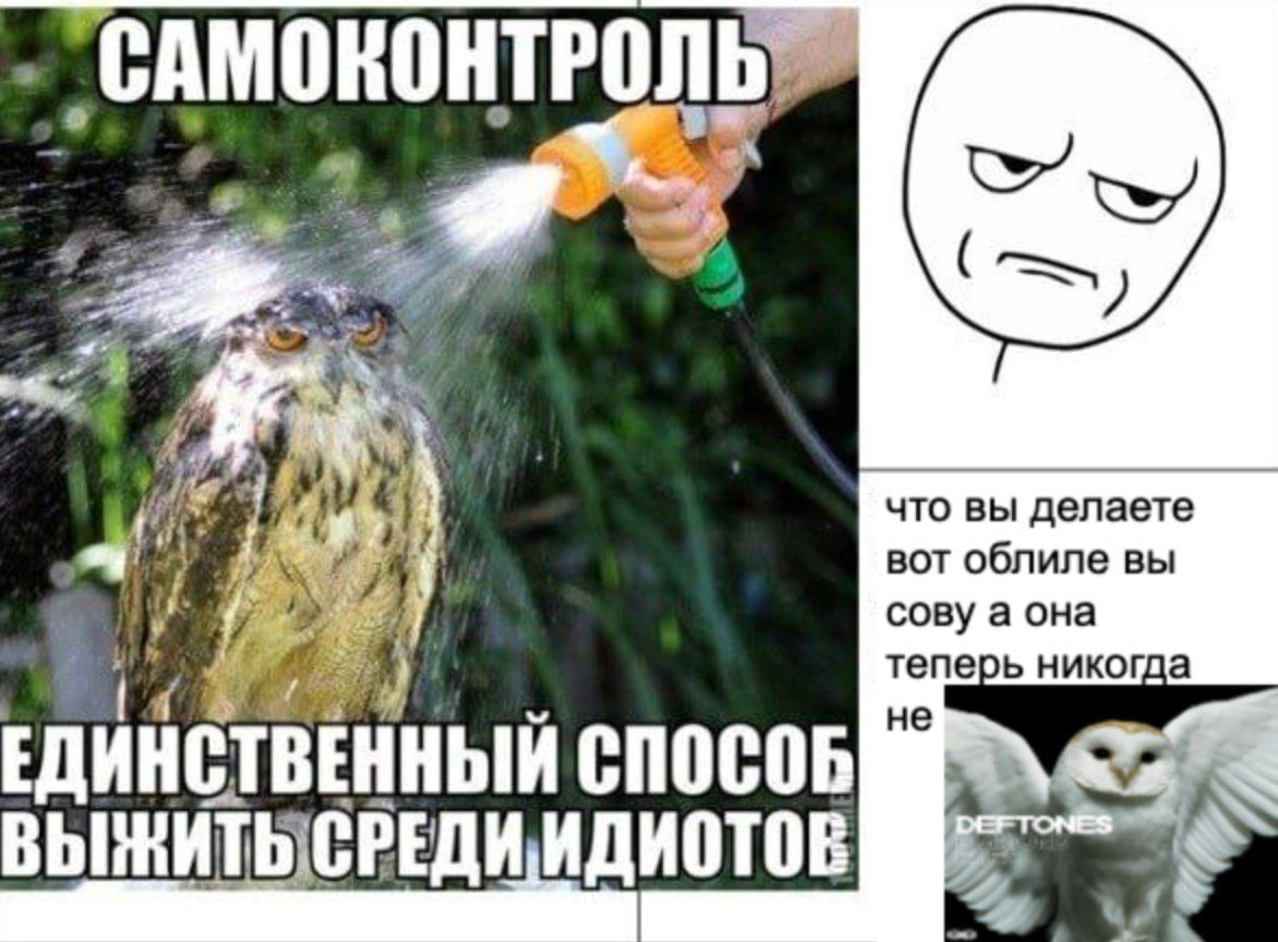 САМОКОНТРОЛЬ что вы делаете вот облиле вы if сову а она теперь никогда не ЕДИНСТВЕННЫЙ