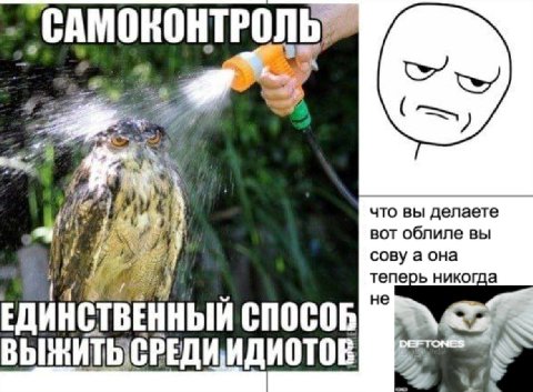 САМОКОНТРОЛЬ что вы делаете вот облиле вы if сову а она теперь никогда не ЕДИНСТВЕННЫЙ