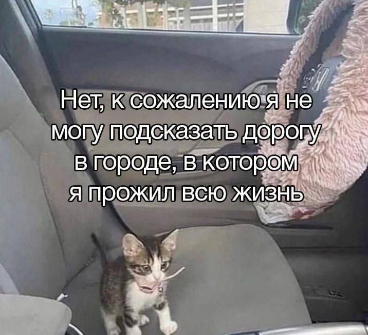 naa Нет, к сожалению: я не’ могу подсказать в городе, в котором. я прожил всю Жизнь.