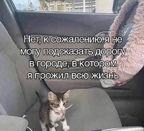 naa Нет, к сожалению: я не’ могу подсказать в городе, в котором. я прожил всю Жизнь.