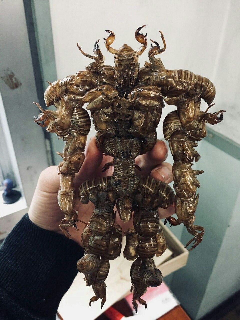 я