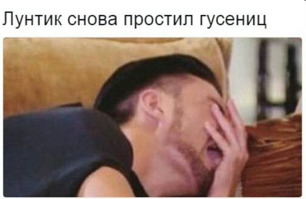 Лунтик снова простил гусениц
