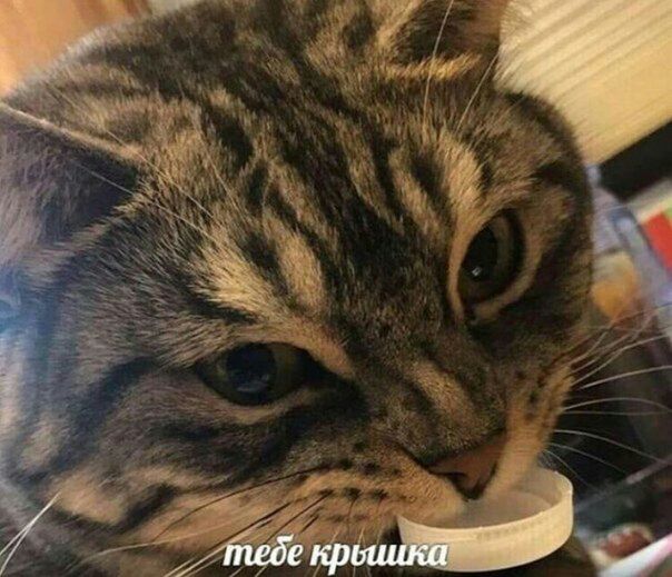 тебе
