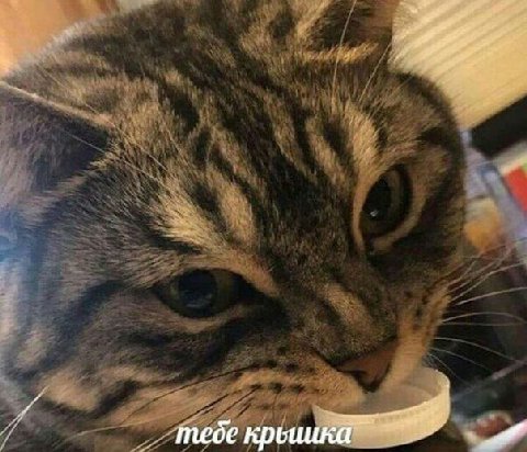 тебе