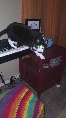 мем