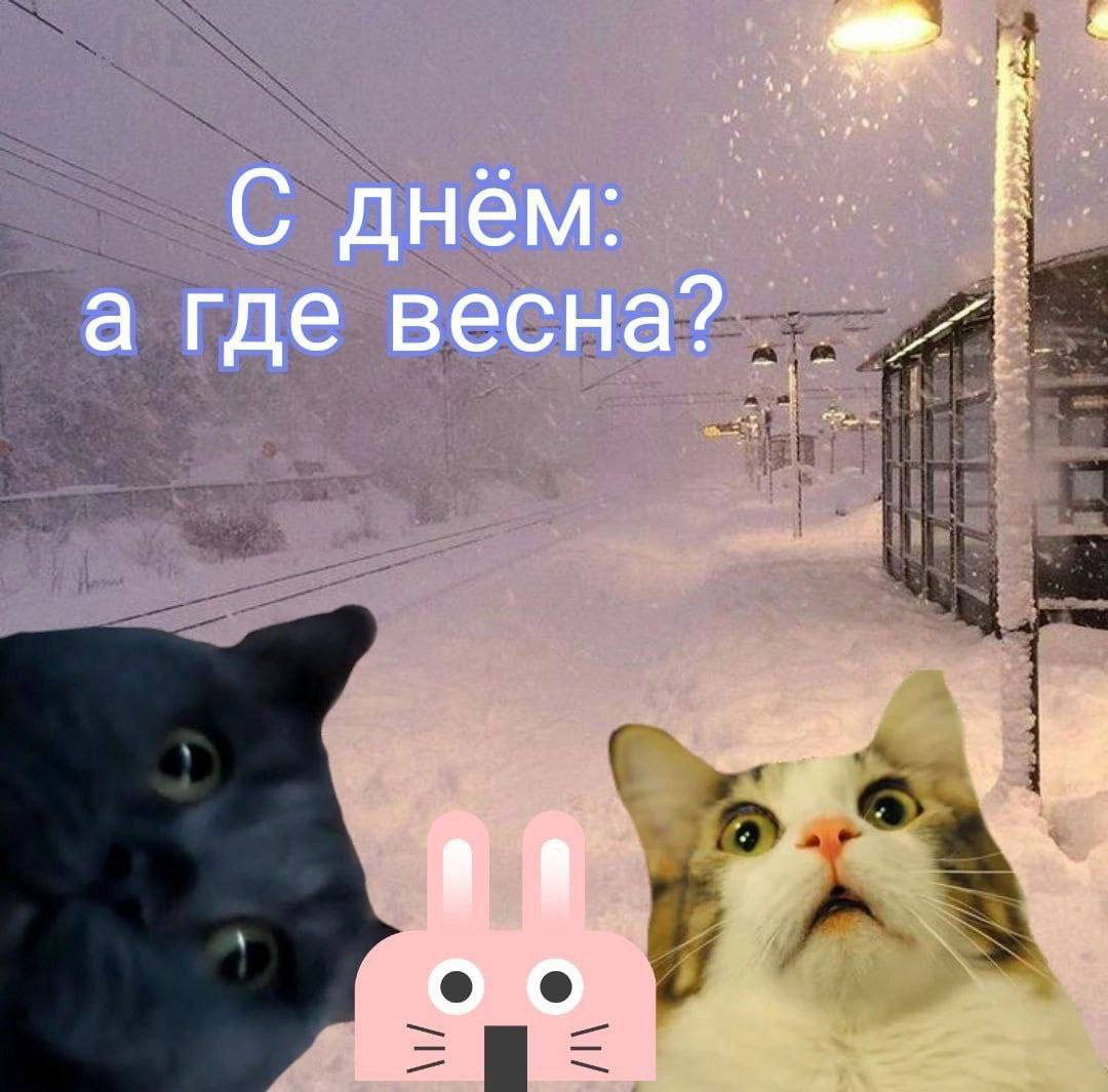 С днём: а где
