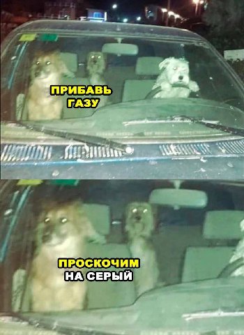 a ПРИБАВЬ ГАЗУ ПРОСКОЧИМ НА СЕРЫЙ