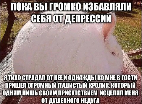 ПОКА ВЫ ГРОМКО ИЗБАВЛЯЛИ СЕБЯ ДЕПРЕССИИ 4 Я THKO СТРАДАЛ НЕЕИ ОДНАЖДЫ МНЕВ ОГРОМНЫЙ ПУШИСТЫЙ КРОЛИК, КОТОРЫЙ foe одним ЛИШЬ СВОИМ ПРИСУТСТВИЕМ ИСЦЕЛИЛ МЕНЯ у ДУШЕВНОГО НЕДУГА