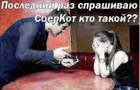 По Баз спрашиваю СберКот кто такой??