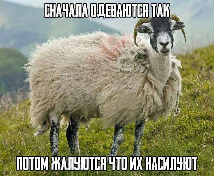 ЕВА Я 29 ПОТОМ ЖАЛУЮТСЯ ЧТО НАСИПУЮТ