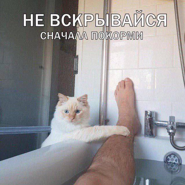 НЕ СНАЧАЛА