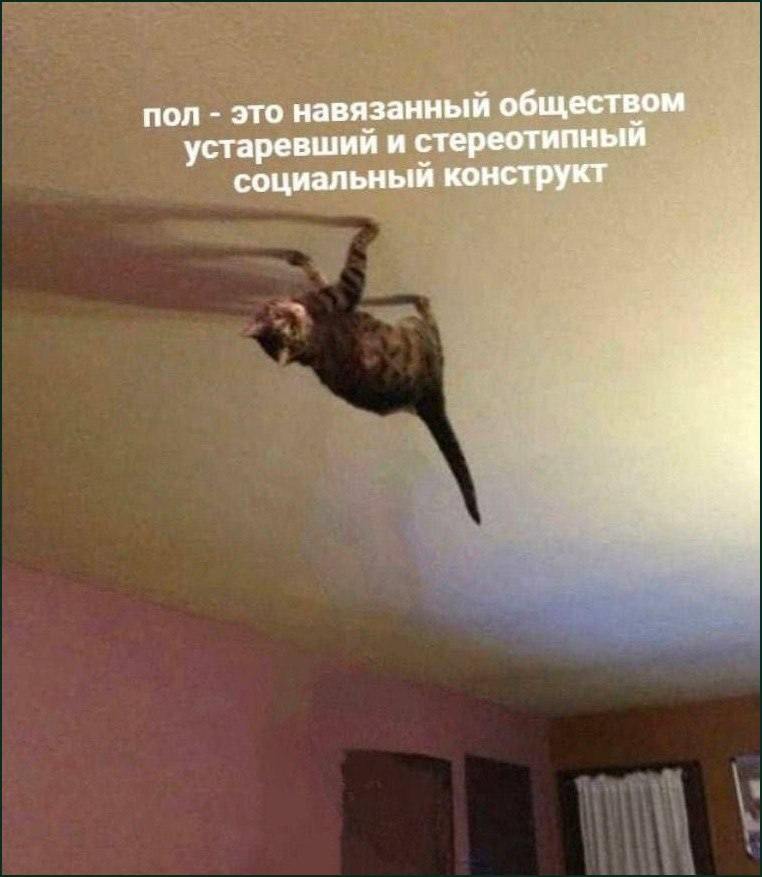 пол это навязанный обществом устаревший и стереотипный социальный конструкт