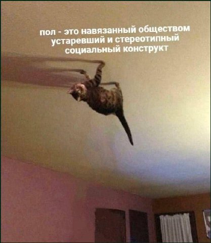 пол это навязанный обществом устаревший и стереотипный социальный конструкт