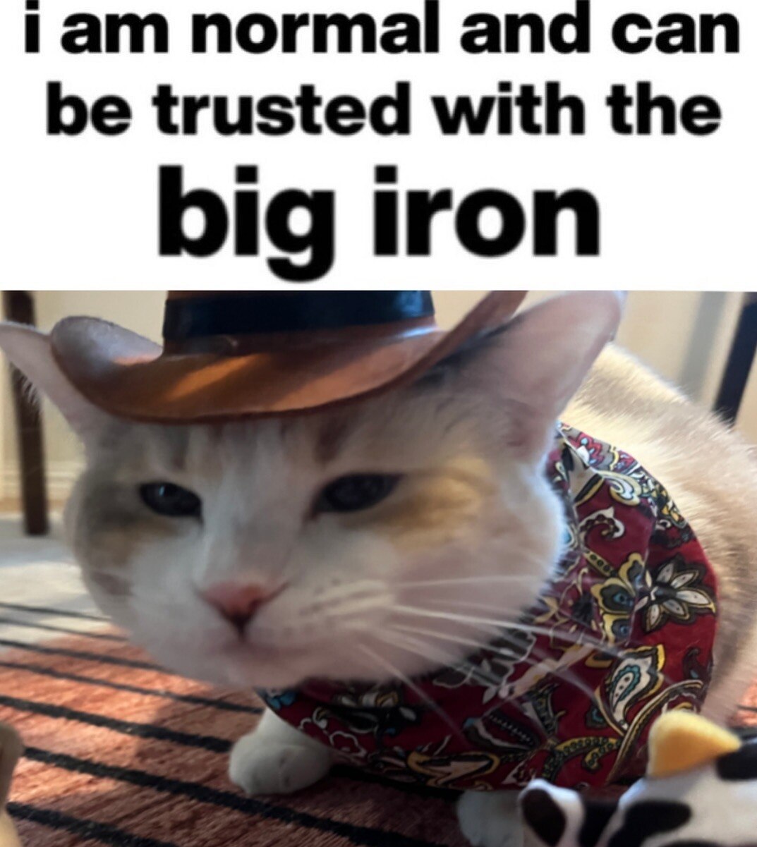 normal and can be trusted with the big iron