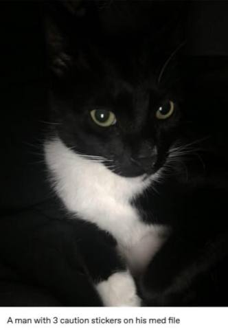 Here are some of Stinky Bastard Man's more heinous crimes: 
• Screamed so loudly with such unbridled fury the one time he wasn't sedated at the vet that he caused a little girl in the waiting room to
