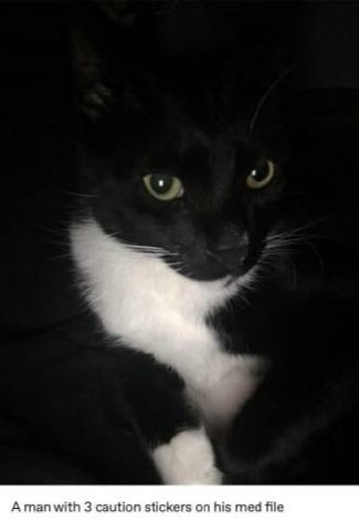 Here are some of Stinky Bastard Man's more heinous crimes: 
• Screamed so loudly with such unbridled fury the one time he wasn't sedated at the vet that he caused a little girl in the waiting room to