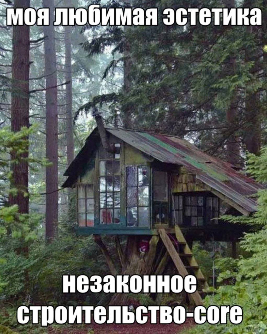 любимая эстетика незаконное строительство-соге