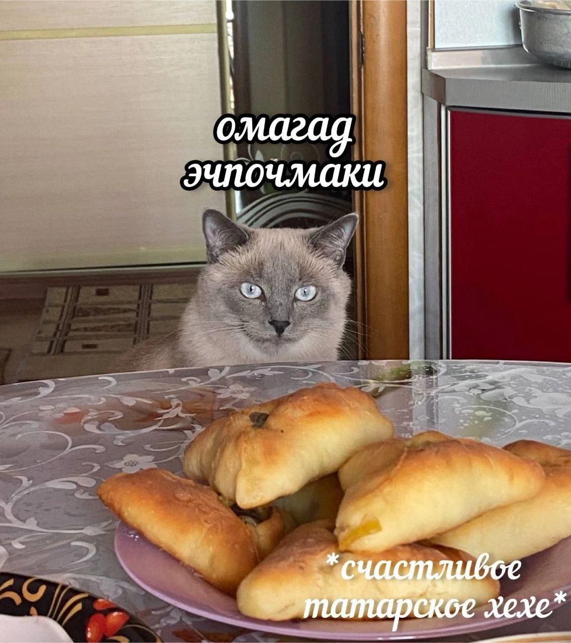 омагад эчпочмаки 1 арское хехе”