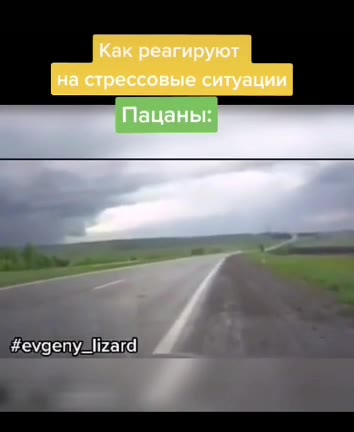 на стрессовые ситуации | Kak реагируют #evgeny_lizard y 4