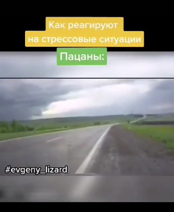 на стрессовые ситуации | Kak реагируют #evgeny_lizard y 4