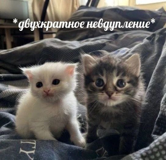 *двухкратное невдупление* 4