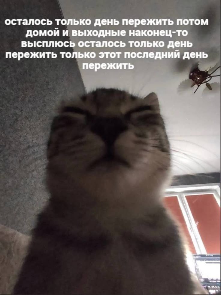 осталось только день пережить потом домой и выходные наконец-то высплюсь осталось только день пережить только этот последний день пережить А