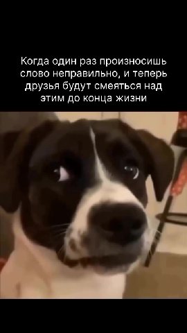 Когда один раз произносишь слово неправильно, и теперь друзья будут смеяться над этим до конца жизни
