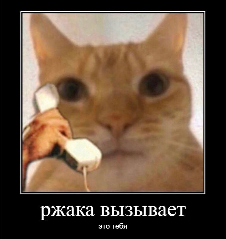 ржака вызывает это тебя