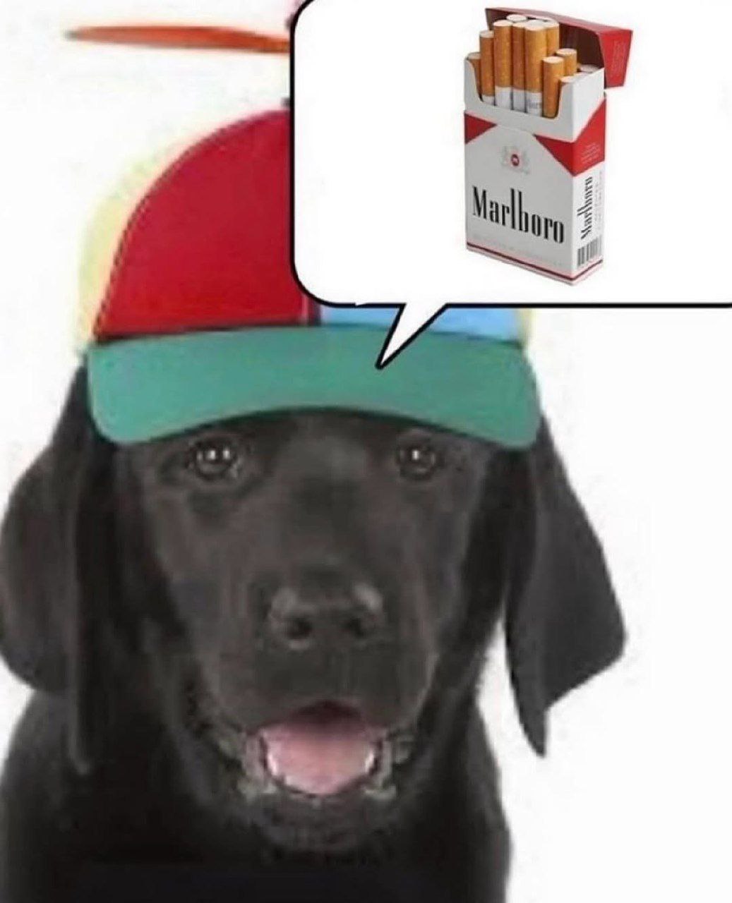 Marthony