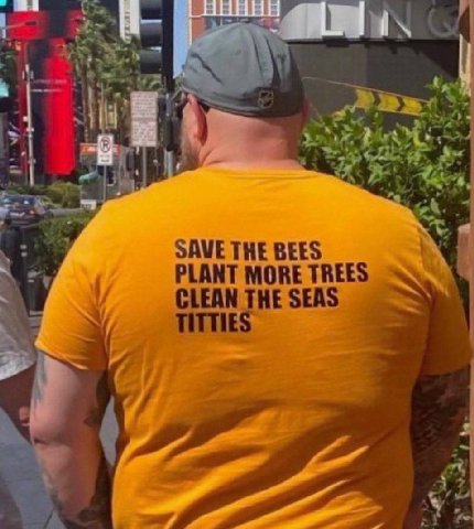 4) SAVE THE BEES PLANT MORE и CLEAN THES