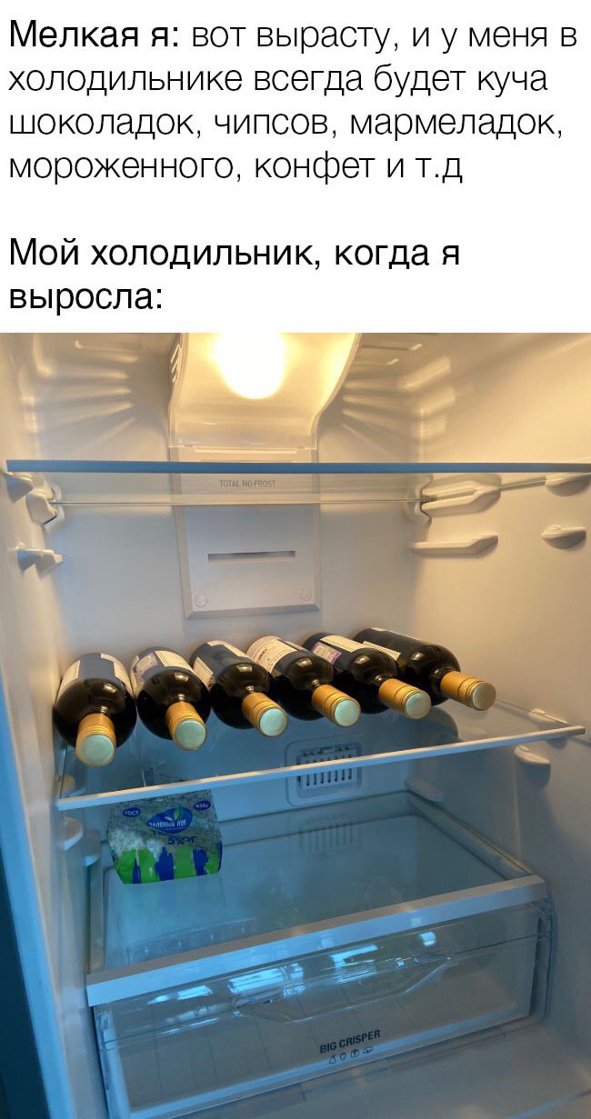 Мелкая я: вот вырасту, и у меня в холодильнике всегда будет куча шоколадок, чипсов, мармеладок, мороженного, конфет и Мой холодильник, когда я выросла: 9