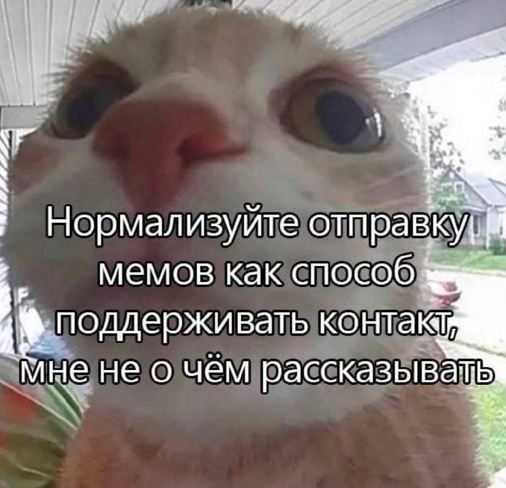 Нормализуйте отправк мемов как способ поддерживать мне не о чём рассказывать: