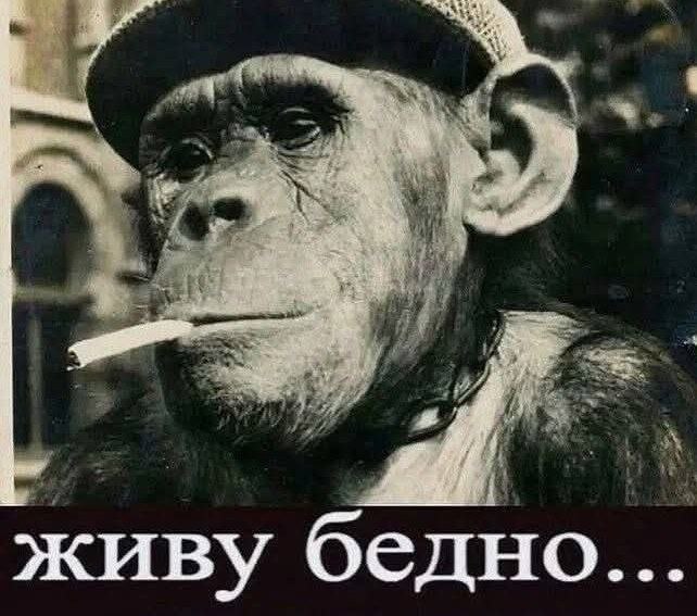 4 yet awe aaa “у 3 живу бедно...