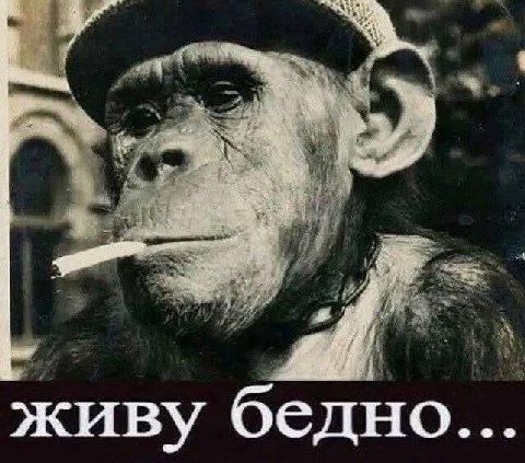 4 yet awe aaa “у 3 живу бедно...