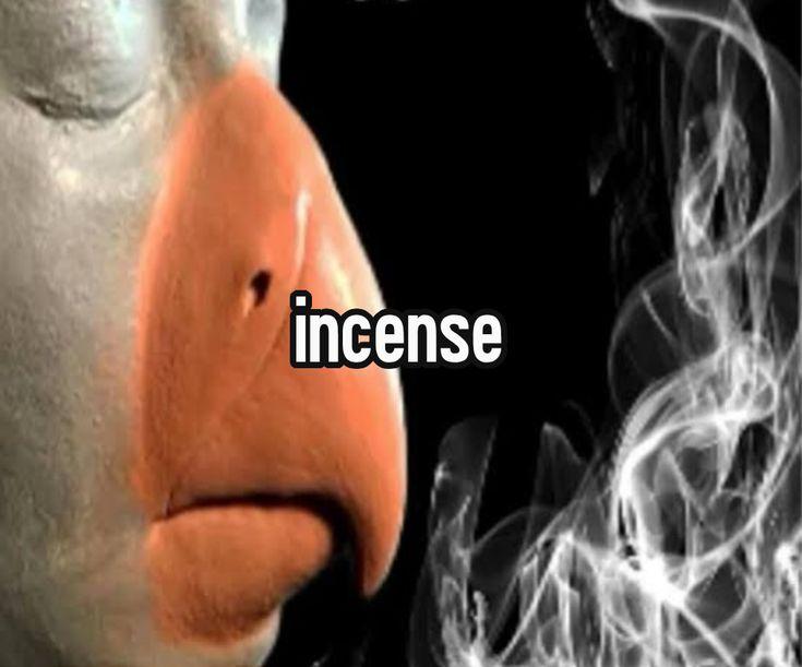 incense