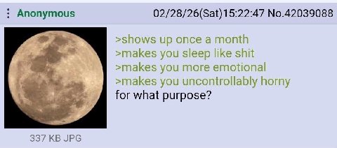Anonymous 02/28/26(Sat)15:22:47 No.42039088 >shows up once а month >makes you sleep like shit >makes you more emotional >makes you uncontrollably horny for what purpose? 337 JPG