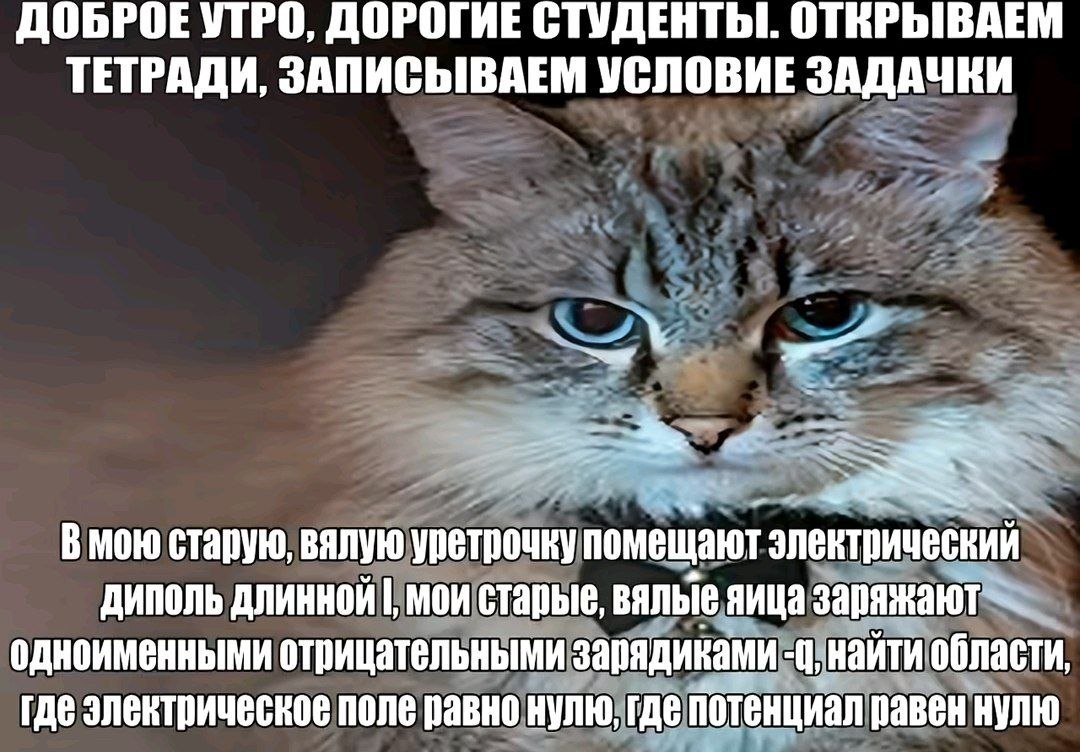 ДОБРОЕ УТРО, ДОРОГИЕ СТУДЕНТЫ. ОТЕРЫВАЕМ ТЕТРАДИ, ЗАПИСЫВАЕМ УСЛОВИЕ ЗАДАЧКИ старую, вялую уретрочку помещают электрический диполь длинной мои старые, вялые яица одноименными отрицательными зарядинами