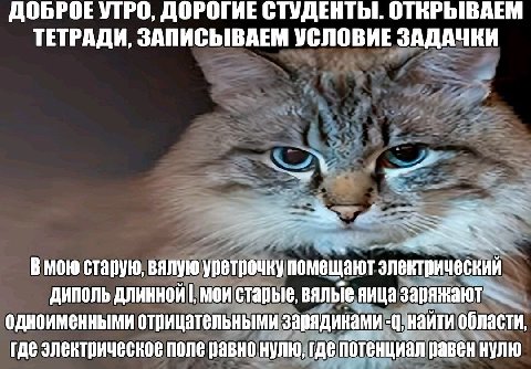 ДОБРОЕ УТРО, ДОРОГИЕ СТУДЕНТЫ. ОТЕРЫВАЕМ ТЕТРАДИ, ЗАПИСЫВАЕМ УСЛОВИЕ ЗАДАЧКИ старую, вялую уретрочку помещают электрический диполь длинной мои старые, вялые яица одноименными отрицательными зарядинами